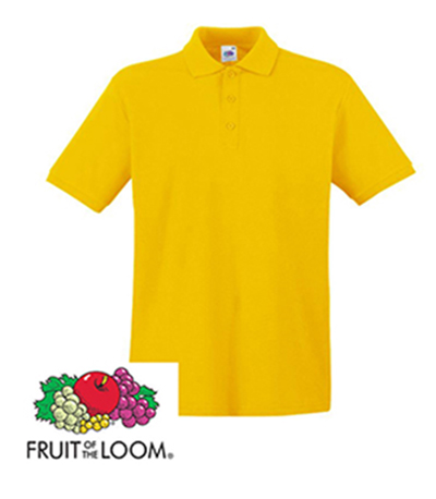  POLO<br> <sup><u>o</sup></u>2xl & 3XL<font size=-1>  </font>