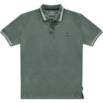 ������� polo<br>  ���</font>