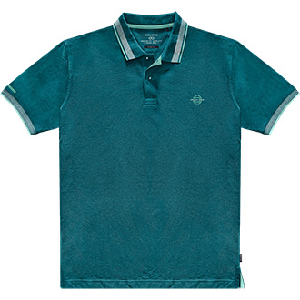 ������� polo<br>  ���</font>